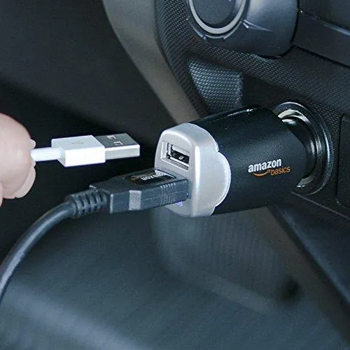 AmazonBasics 4.0 Amp Dual USB Car Charger for Apple and Android Devices - Black