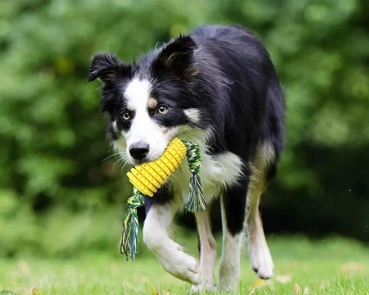 Dog Toothbrush Chew Toys Corn Molar Stick Bite-Resistant Toys with Rope