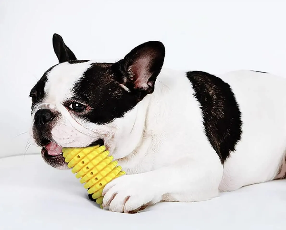 Dog Toothbrush Chew Toys Corn Molar Stick Bite-Resistant Toys with Rope