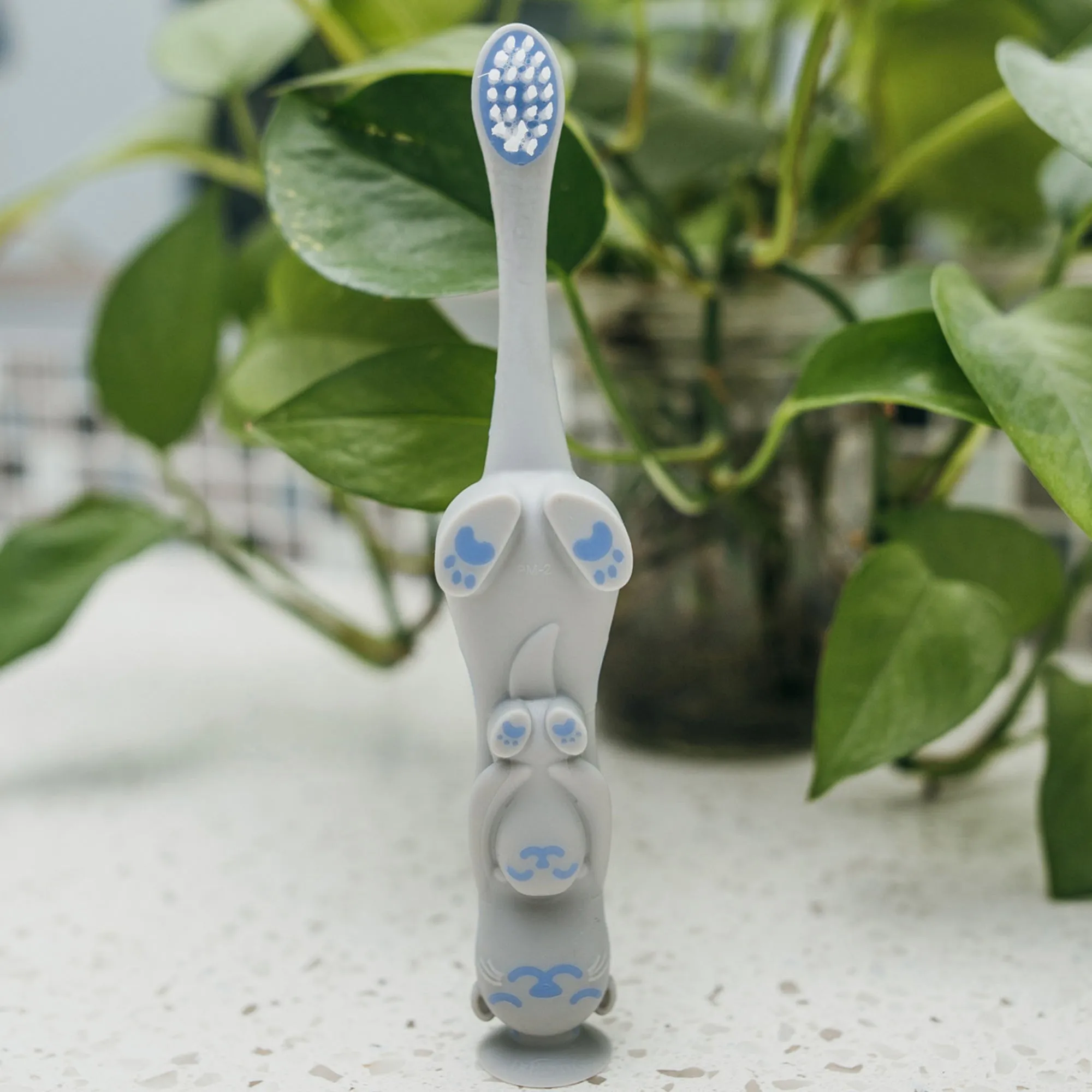 Dr. Brown's Toddler Toothbrush (1 to 4 Years)