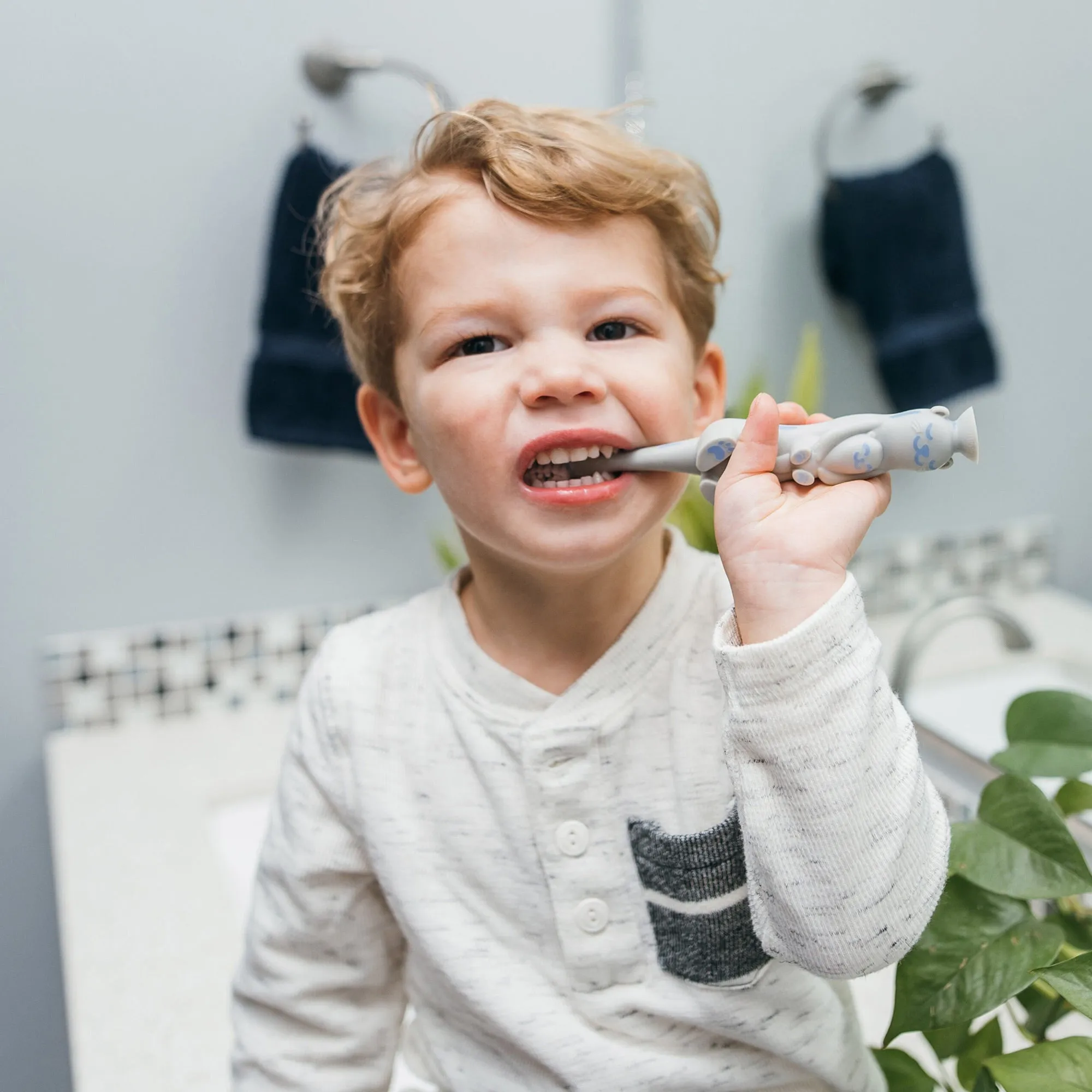 Dr. Brown's Toddler Toothbrush (1 to 4 Years)