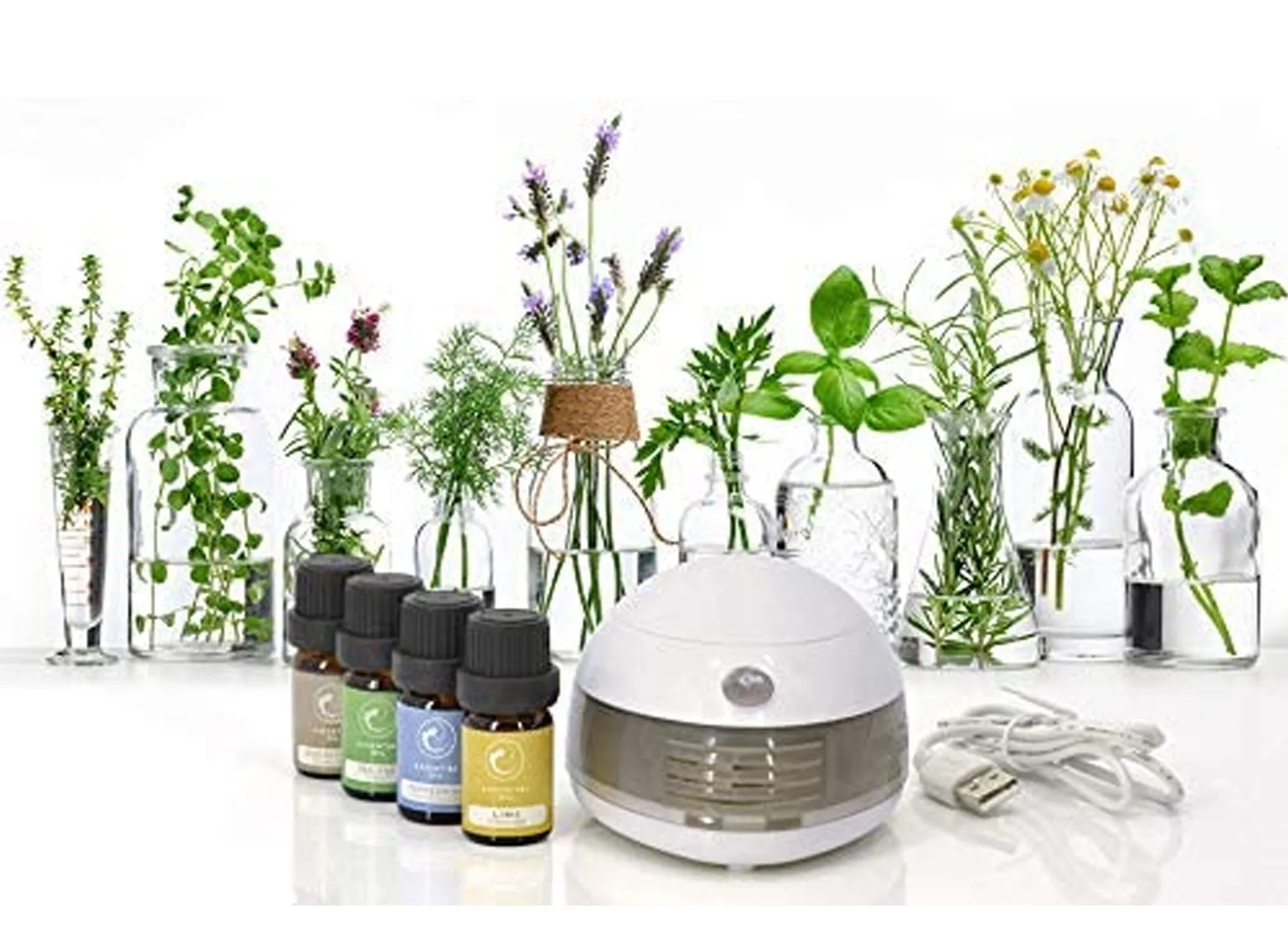 Eternal Lightweight Oil Diffuser Portable Aromatherapy