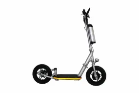 Glion Balto X2 36V 500w Electric Scooter