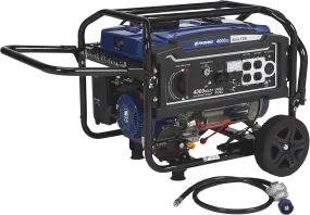 Powerhorse 750134 Dual Fuel Generator Low THD 3240W/4000W Electric Start New