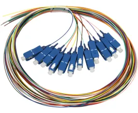 SC UPC/APC 12 Fiber Single Mode Pigtail, Unjacketed, 2M