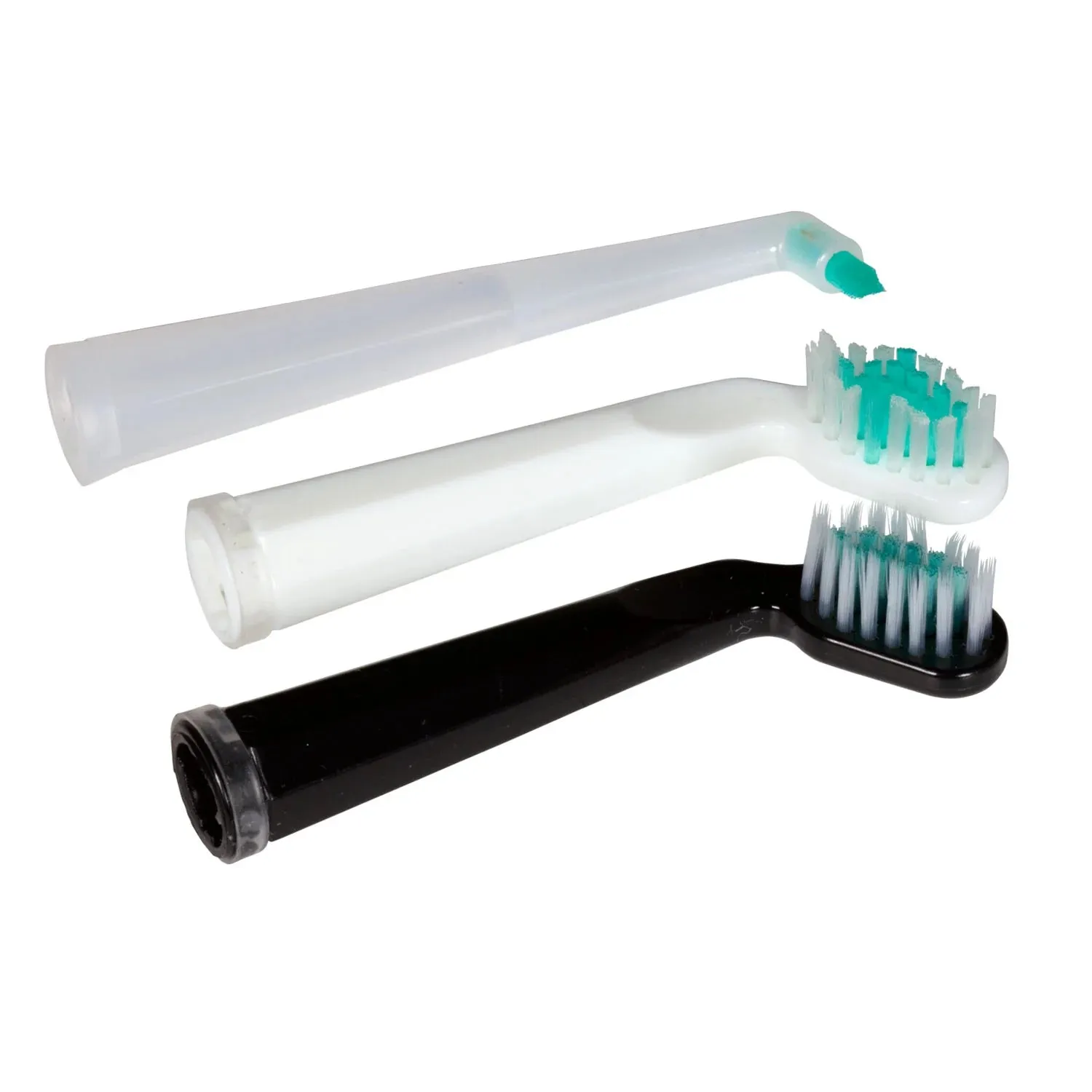 Sonic Shine Toothbrush by Living Libations